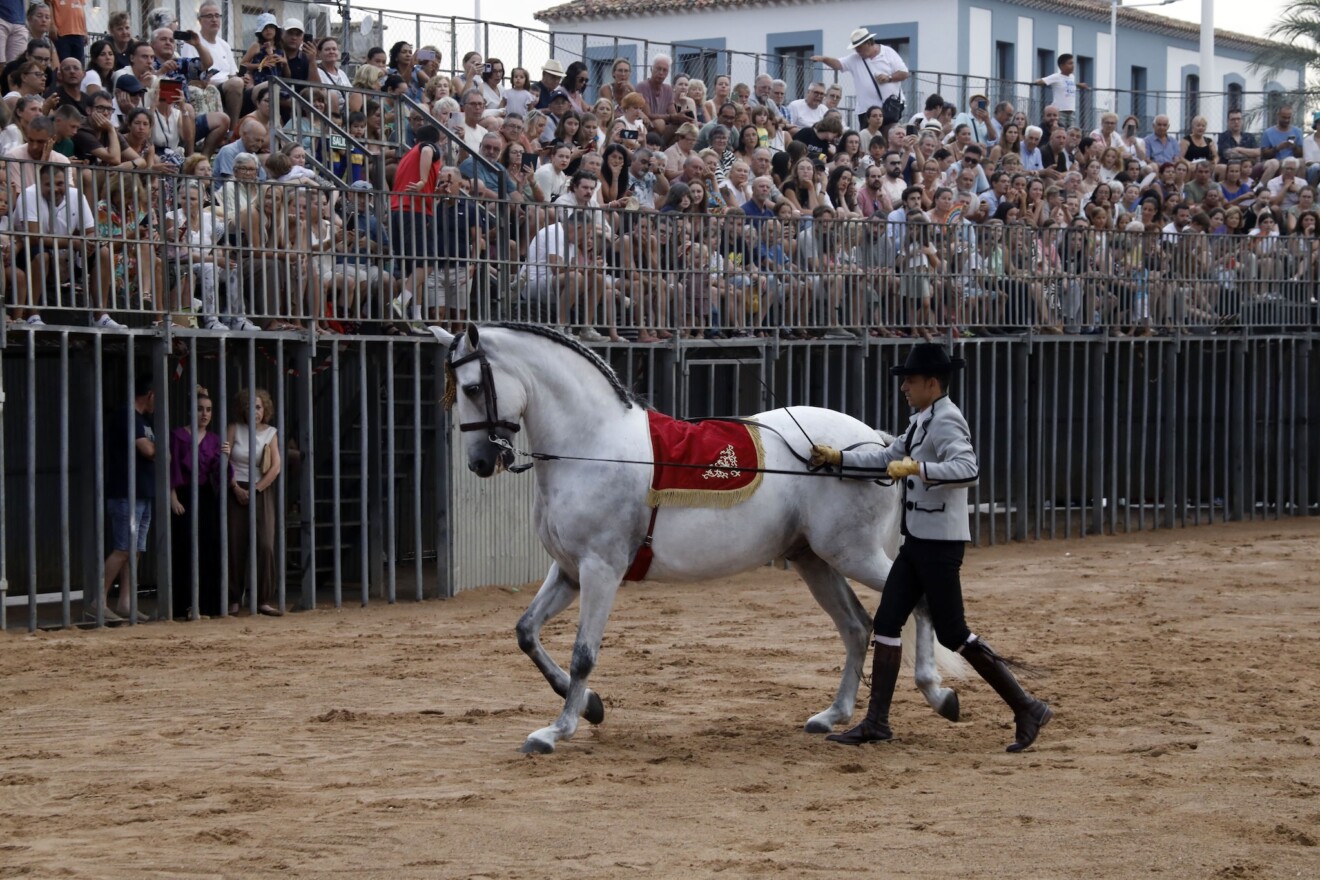 Espectáculo benéfico Caballos de ensueño 9