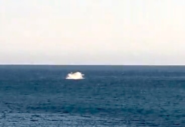 El segundo animal más grande del mundo «presume» en Dénia ante la mirada atónita de decenas de comensales 2 frame del video donde se ve la ballena