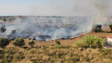 Trabajos de extinción del incendio de vegetación en Dénia (1)