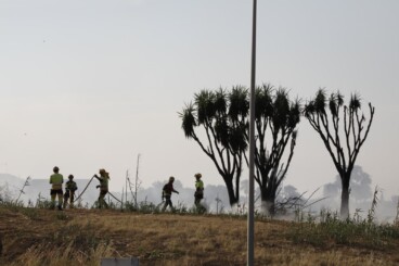 Trabajos de extinción del incendio de vegetación en Dénia (4)
