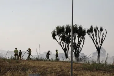Trabajos de extinción del incendio de vegetación en Dénia (4)