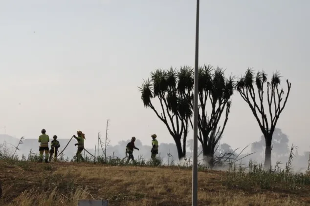 Declarado un incendio de vegetación en Dénia que moviliza a un amplio dispositivo de emergencias 15 trabajos de extincion del incendio de vegetacion en denia 4