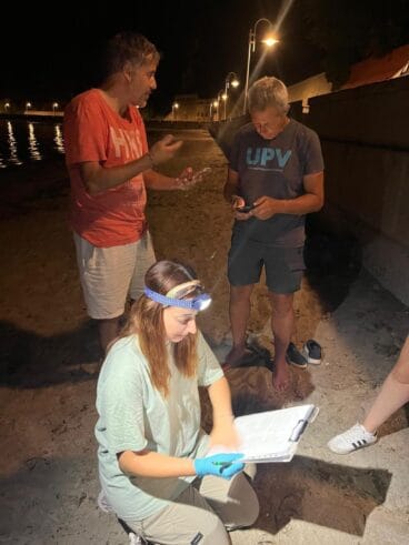 Voluntarios controlan anidación de tortugas en Dénia