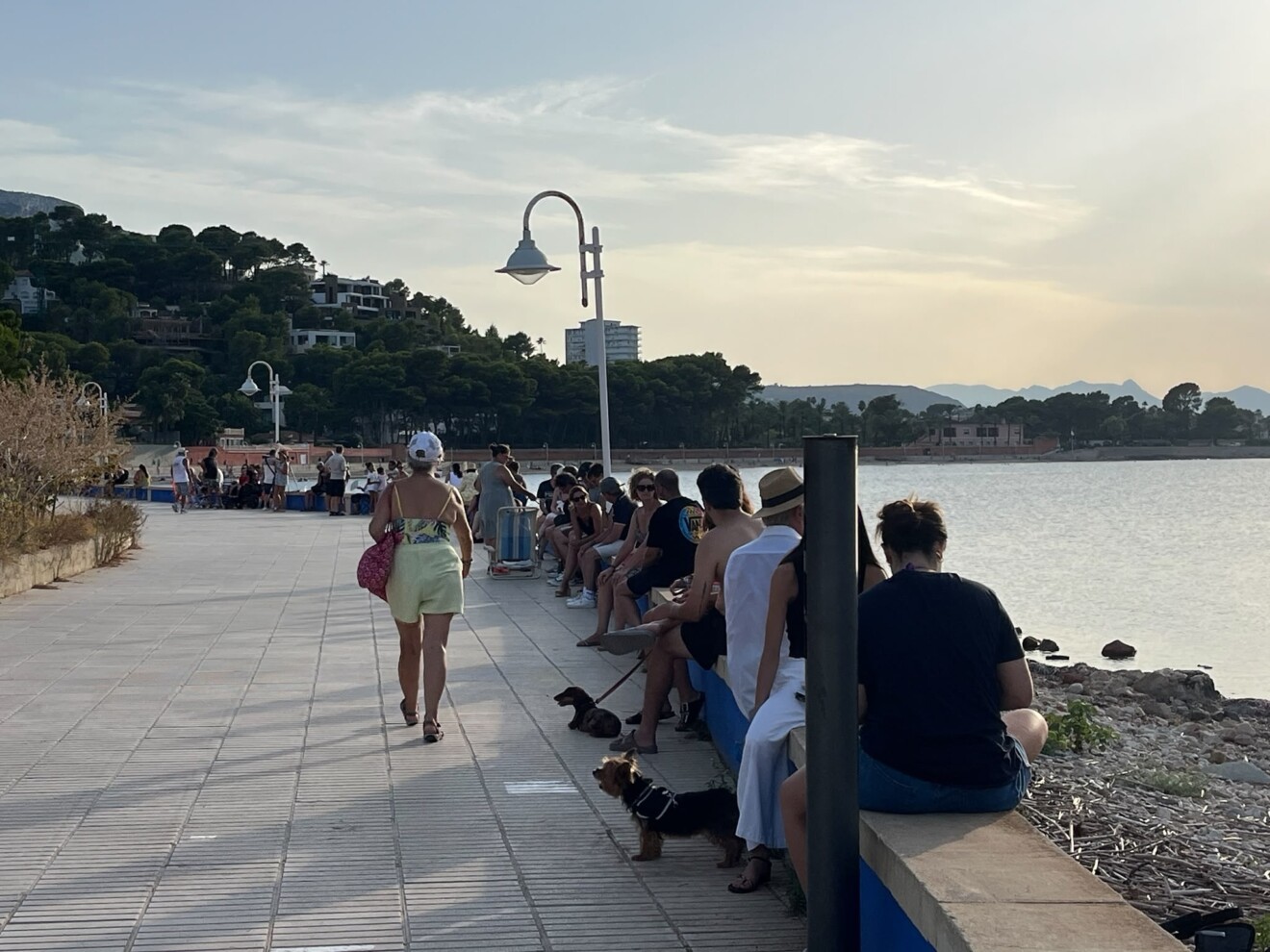 Así se vivió el eclipse en Dénia 16