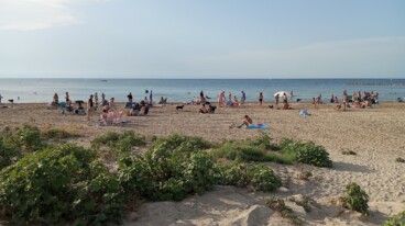 Así se vivió el eclipse en Dénia 40