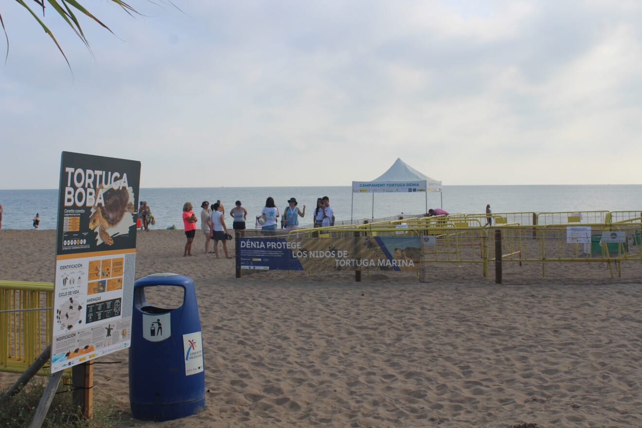Campamento Tortuga en Dénia (7)