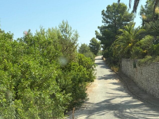 Gent de Dénia denuncia el deterioro de Monte Pego y reclama medidas de seguridad y prevención 2 Imagen: Carretera en Monte Pego con vegetación densa a los lados
