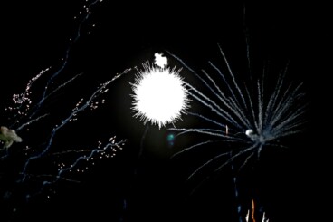 Castillo de fuegos artificiales de los Moros y Cristianos de Dénia 2026 2