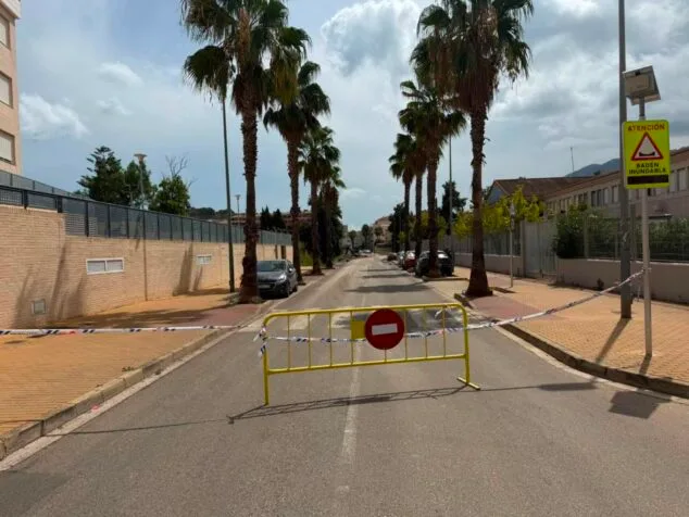 Una valla amarilla y cinta policial cierran el paso en una calle con palmeras, el Camí del Llavador, debido a obras.