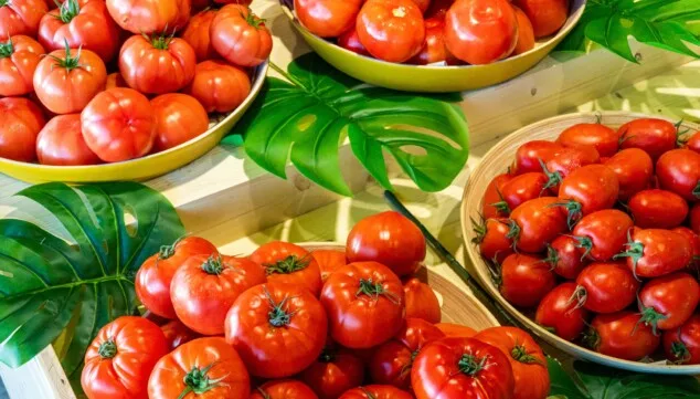 Fruta, aperitivos y arroz: la cesta perfecta para este verano 2 dela huerta a tu mesa
