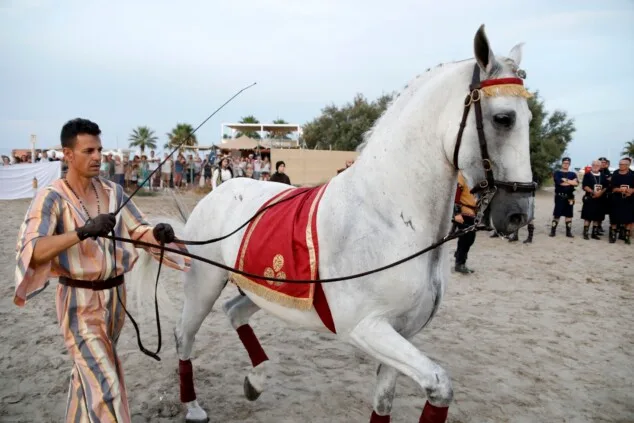 Dénia firma la tregua a orillas del mar: las tropas moras conquistan la escollera norte antes del gran choque 53 desembarco moro de denia de 2026 50