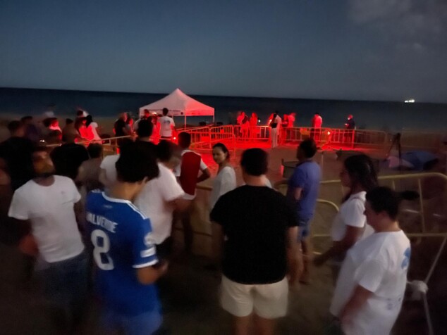 Histórica eclosión simultánea de dos nidos de tortuga boba en las playas de Dénia 2 Imagen: El campamento de custodia montado en la playa para el control de los nidos