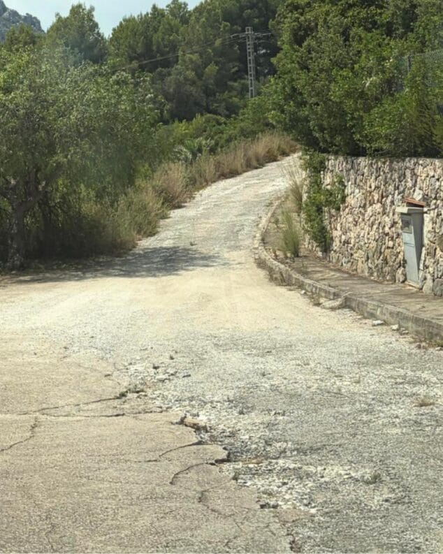 Gent de Dénia denuncia el deterioro de Monte Pego y reclama medidas de seguridad y prevención 1 Imagen: Fotografía que muestra una carretera de asfalto agrietado y en mal estado en una zona boscosa de la urbanización Monte Pego en Dénia.
