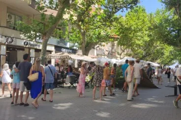 Susto en Marqués de Campo: se desploma la gran rama de un platanero sobre la terraza de una heladería 6 la caida de la rama ha generado gran expectacion en una de las calles mas transitadas de denia alterando el ritmo habitual de peatones y clientes de las terrazas