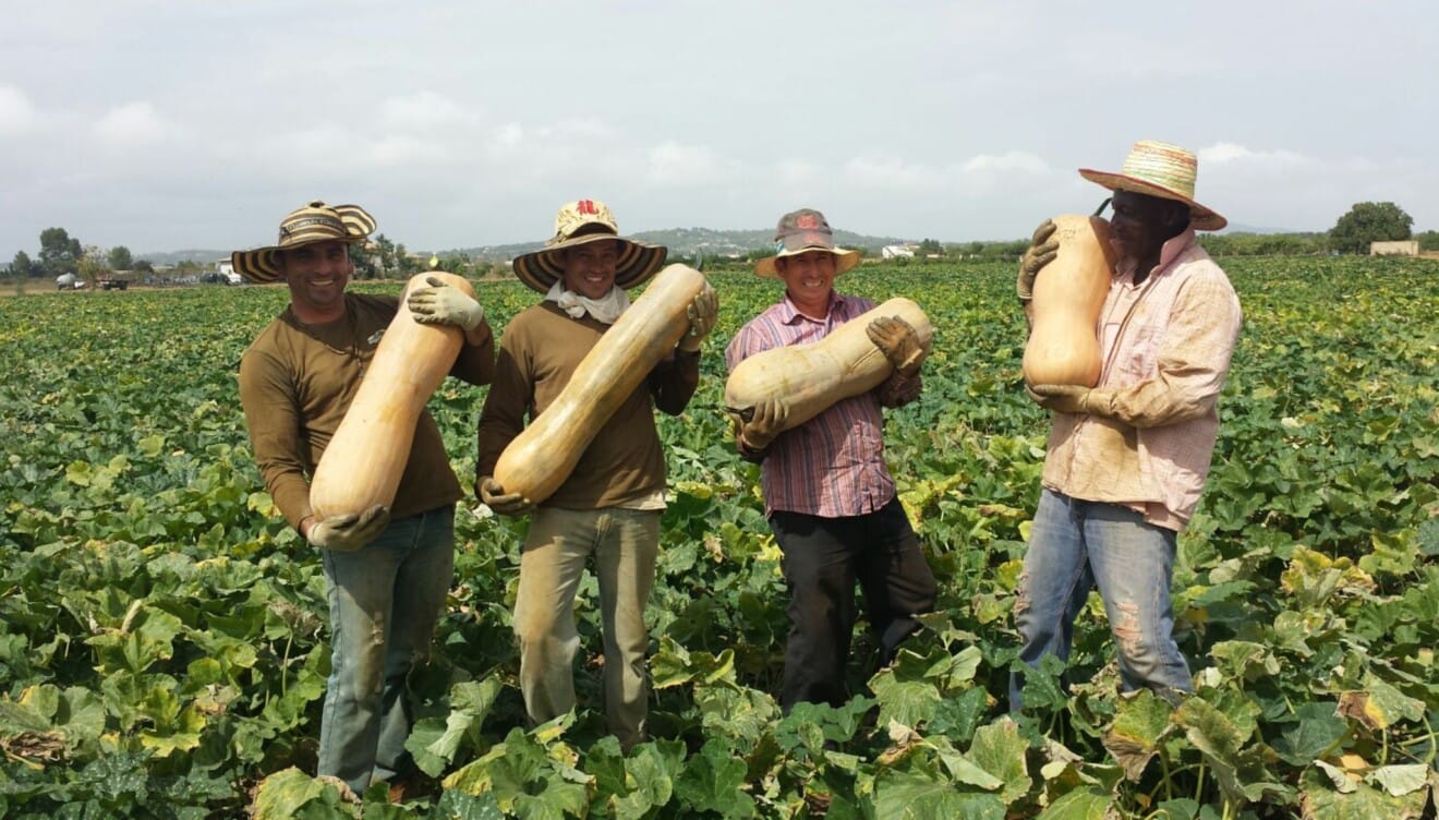 Melones, sandías, calabazas y melocotones