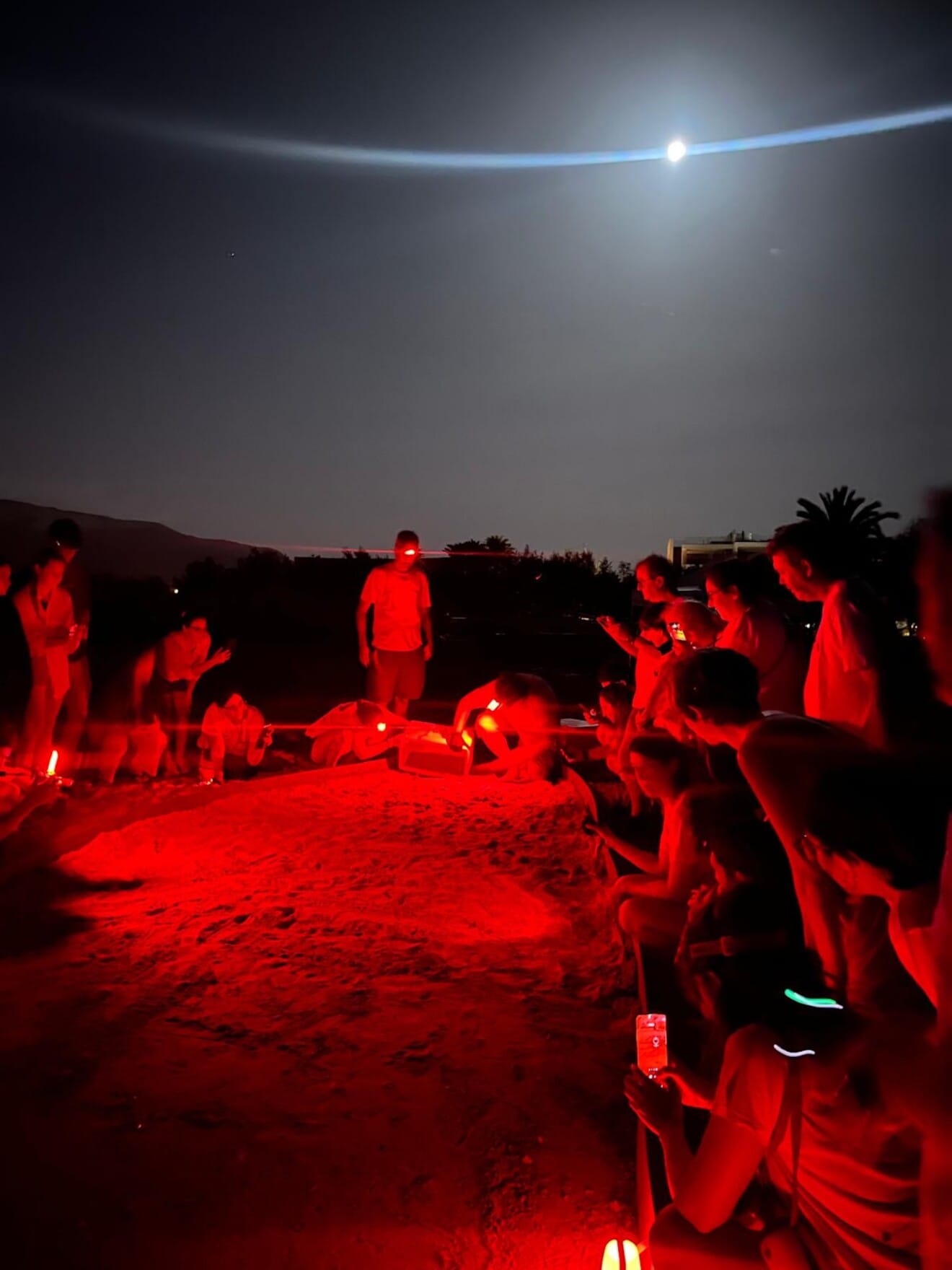 Momento de la eclosión nocturna en el nido de Mona bajo la luna de Dénia