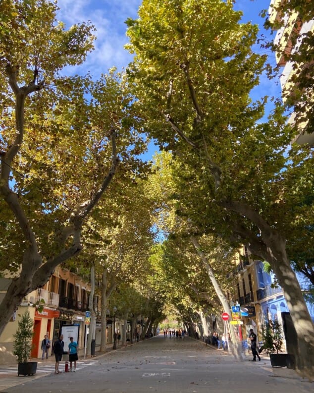 ¿Buscas alojamiento junto a tu perro en Dénia? Hay uno con mucha historia 4 paseos peatonales