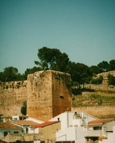 Patrimonio vivo