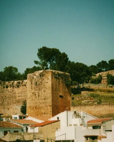 Patrimonio vivo