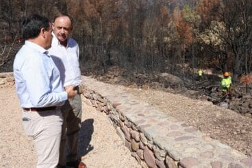 Pérez Llorca anuncia una Ley Forestal que retribuirá a propietarios forestales por servicios ambientales 5 Juanfran Pérez Llorca en una zona de la Vall d'Uixó afectada por incendios forestales.