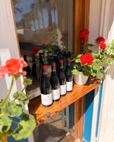 Una bodega para recorrer España a través de sus vinos