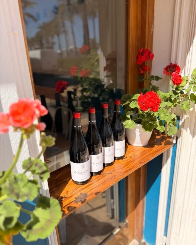 Socaire Port Denia 9 una bodega para recorrer espana a traves de sus vinos