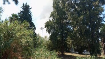 Columna de humo del incendio en Dénia