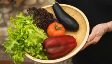 Qué comer en Dénia al inicio del otoño: una guía de sabores 10 el otono a la vuelta de la esquina