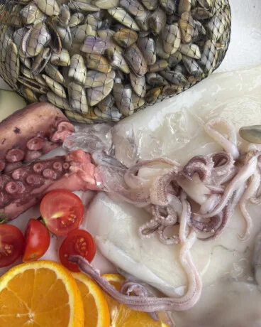 Especialistas en tradición marinera