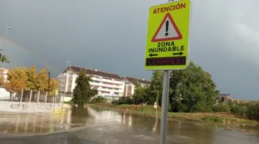 Estado de las calles de Dénia ante el episodio de lluvia (2)