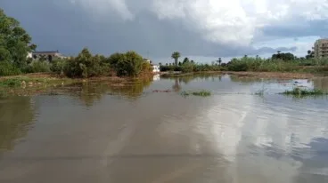 Estado de las calles de Dénia ante el episodio de lluvia (3)