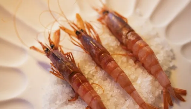 Dexcaro estrena nueva carta: una experiencia gastronómica diferente en el corazón de Dénia 21 Imagen: Gamba roja de Dénia