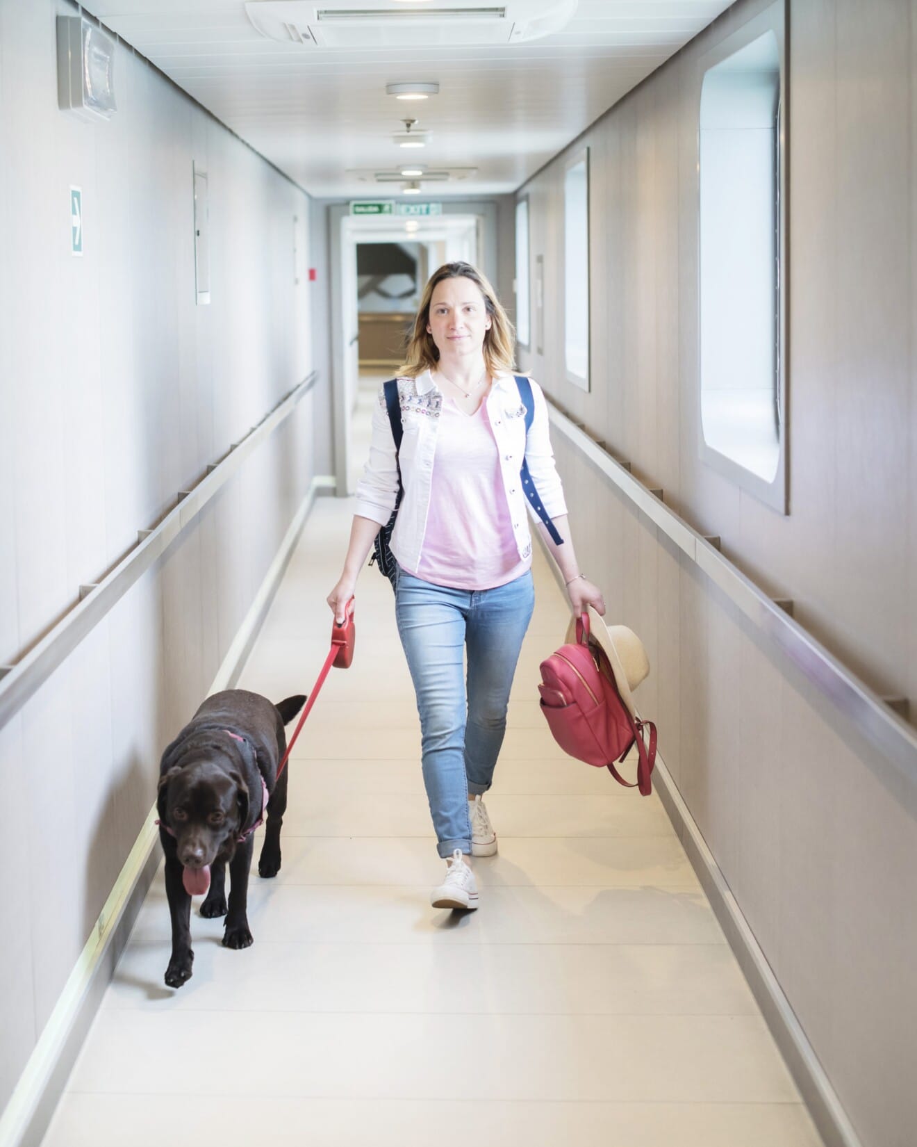 Horarios determinados para pasear con los perros