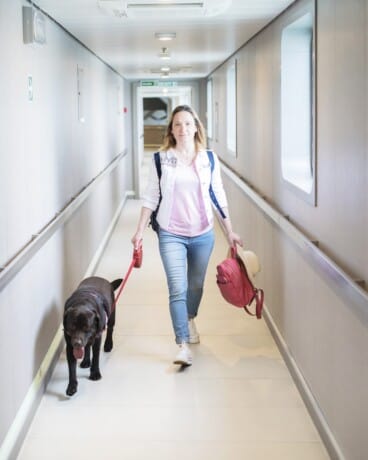 Horarios determinados para pasear con los perros