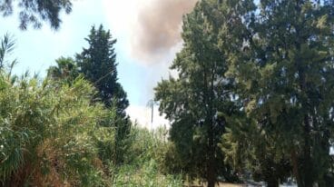 Incendio forestal en Dénia con columna de humo visible
