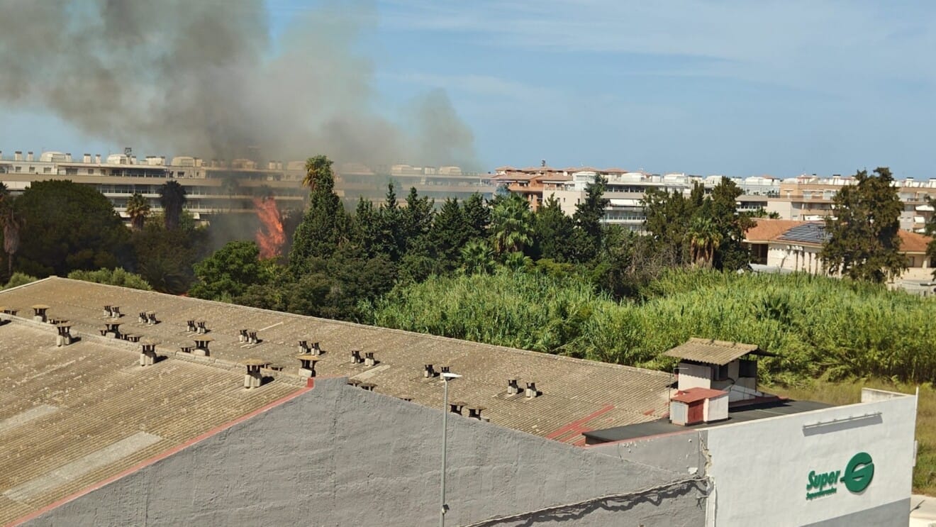 Las llamas, a pocos metros de viviendas y solares