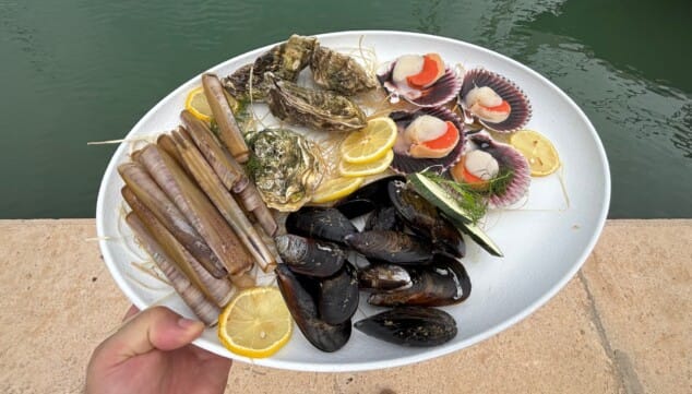 ¿Buscas dónde comer en el puerto de Dénia? Este lugar lo tiene todo 5 mariscos de lonja