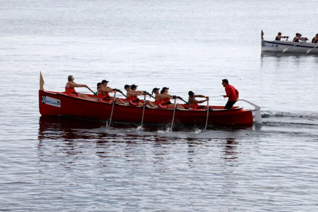 More than one hundred athletes participated in the 40rd Solidarity 100 Strokes Challenge in Dénia 3 100 Solidarity Rowing Regatta in Denia 36