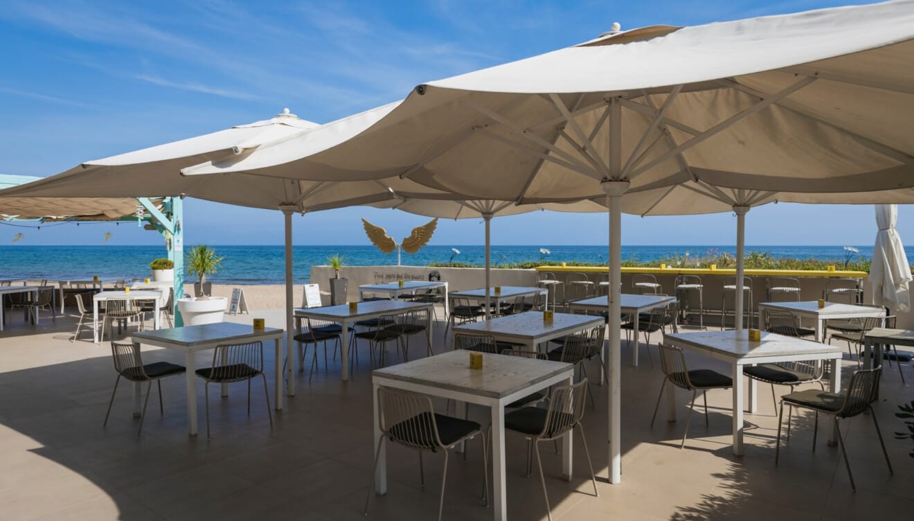 Restaurant Noguera, la esencia del Mediterráneo