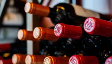 La carta de vinos perfecta para el otoño: 5 claves para acertar. 16 seleccion de vinos de otono ideales para maridar con platos de caza y guisos