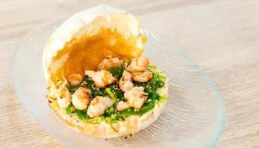Tapas fusión