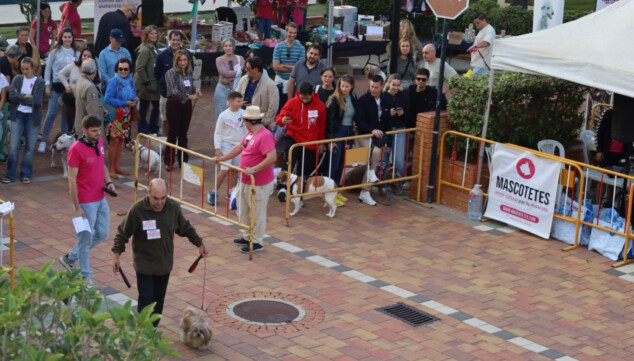 Mascotas, piratas y solidaridad: así fue la gran fiesta de Dénia 4 Imagen: 490 euros recaudados para seis protectoras de animales