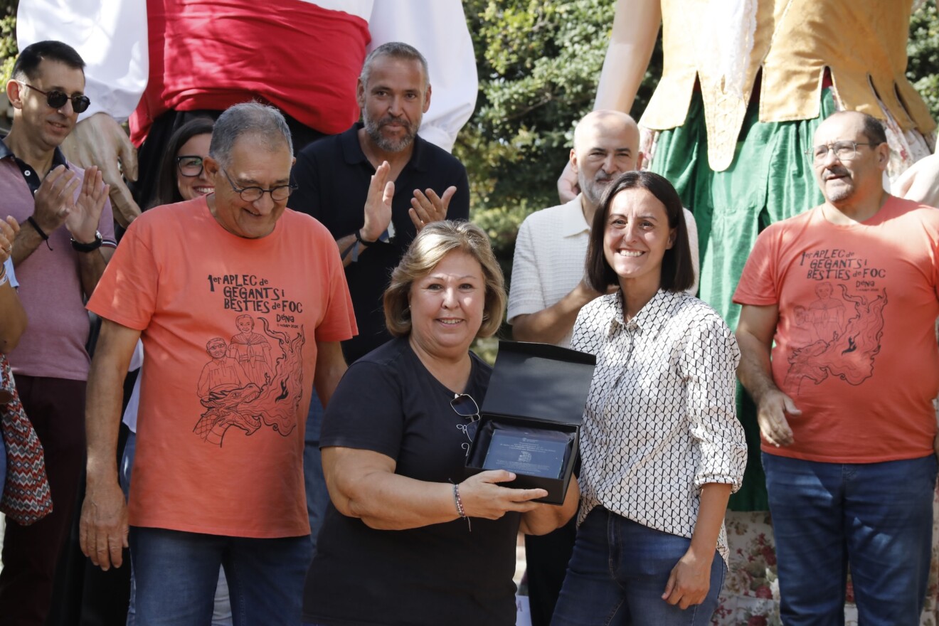 Aplec de Gegants i Bèsties de Foc de Dénia 21