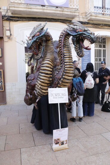 Aplec de Gegants i Bèsties de Foc de Dénia 45