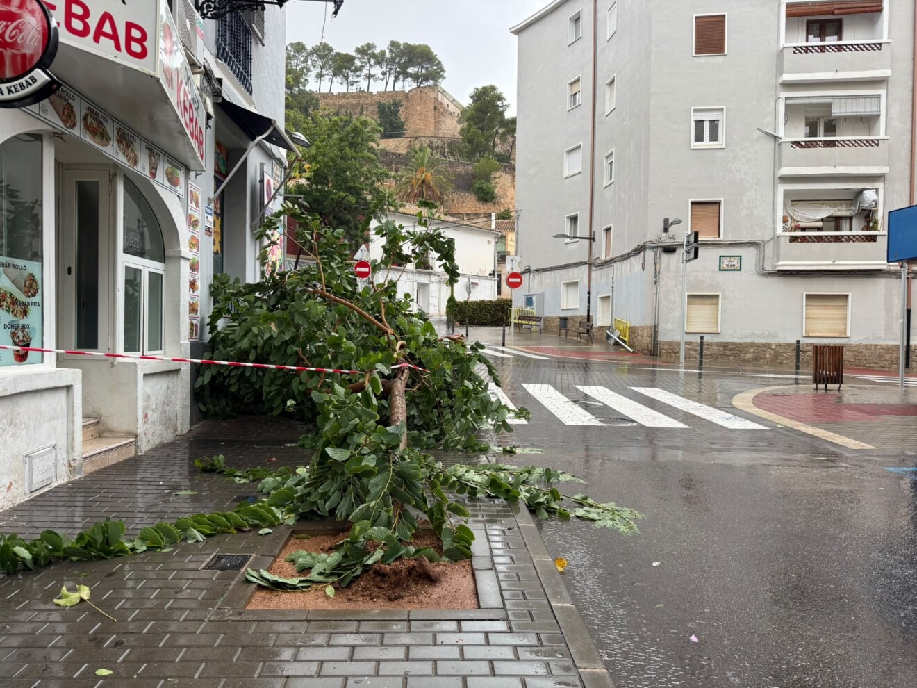 Árboles caídos en el casco urbano