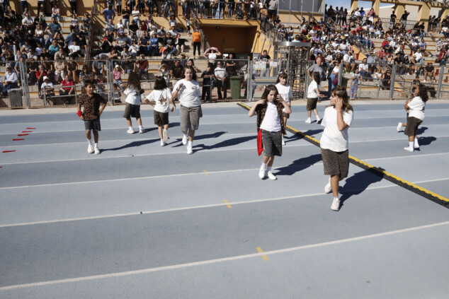 escoles esportives de denia 26 27 81