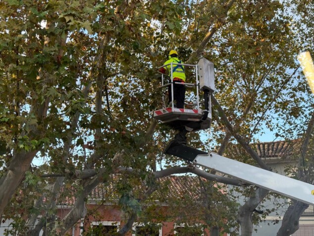 Imagen: Labores de saneamiento en altura para asegurar las ramas dañadas