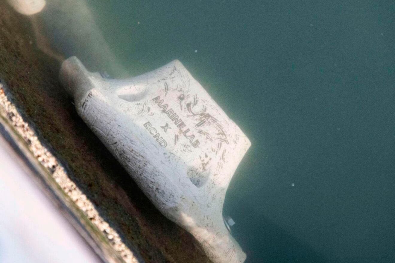 Detalle del módulo Reef Matrix sumergido en el RCND