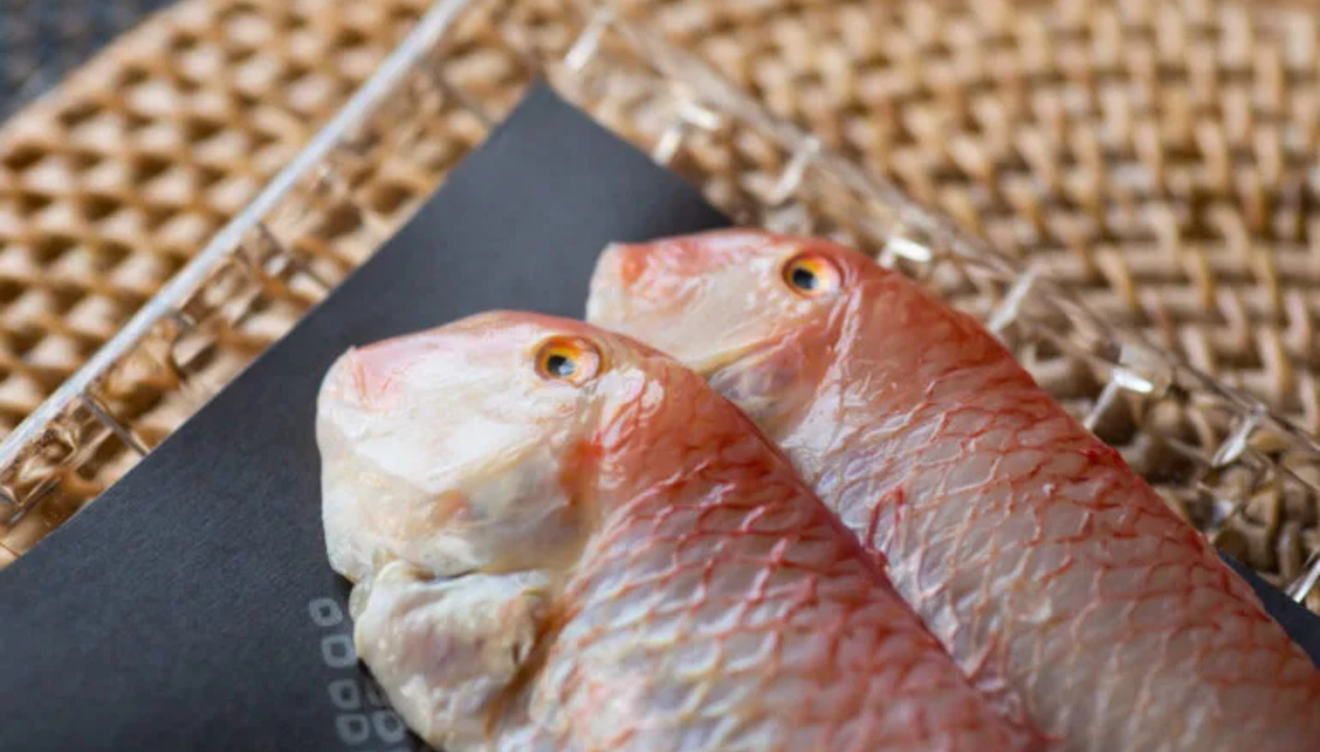 Pescado fresco recién desembarcado en la lonja de Dénia
