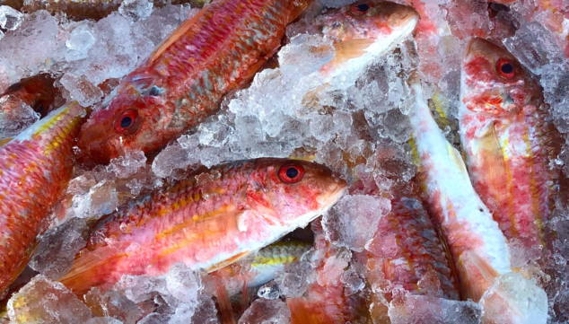 Dónde comer pescado fresco en Dénia: las claves para una elección acertada 8 pescado fresco recien traido de la lonja en denia